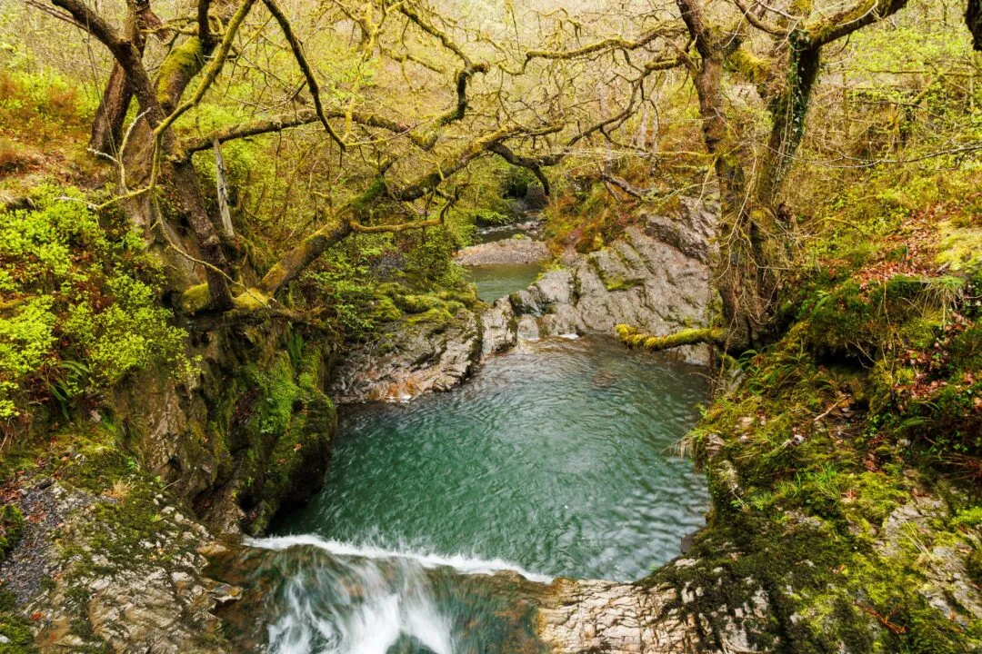 Four waterfalls spring pool