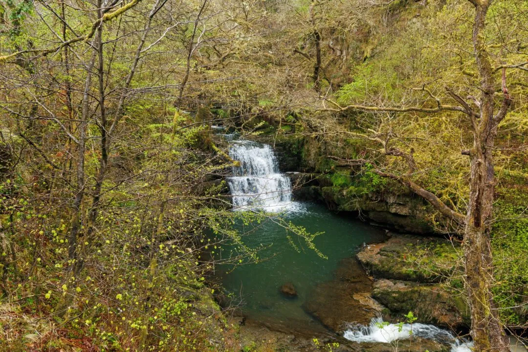 Four waterfalls woodland falls