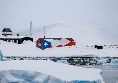 Gentoo penguin colony spread across the snow beside a red white and blue Chilean-flag-painted refuge hut with icebergs in the water below, Antarctica