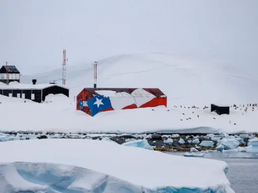 Gentoo penguin colony spread across the snow beside a red white and blue Chilean-flag-painted refuge hut with icebergs in the water below, Antarctica