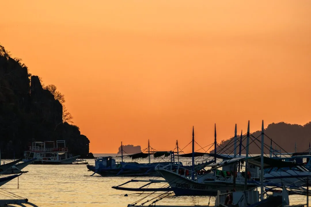 Golden hour harbour densely silhouetted boats El Nido