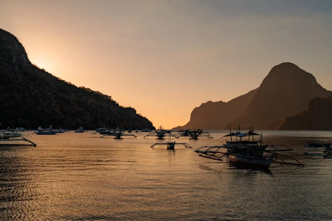 Golden hour harbour panorama full fleet boats El Nido
