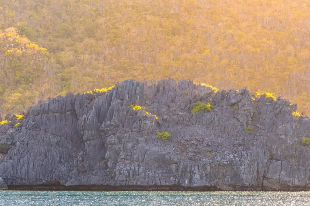 Golden hour textured limestone flowering shrubs El Nido