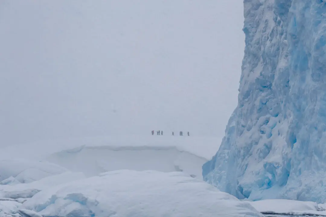 Tiny hikers on a distant ridge dwarfed by a towering blue-veined ice wall, Antarctica