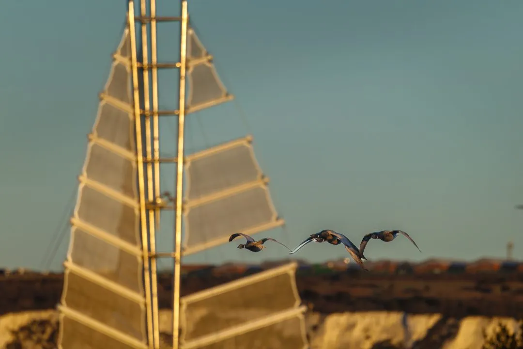 Brent geese flight sail sculpture, Hilsea Lines