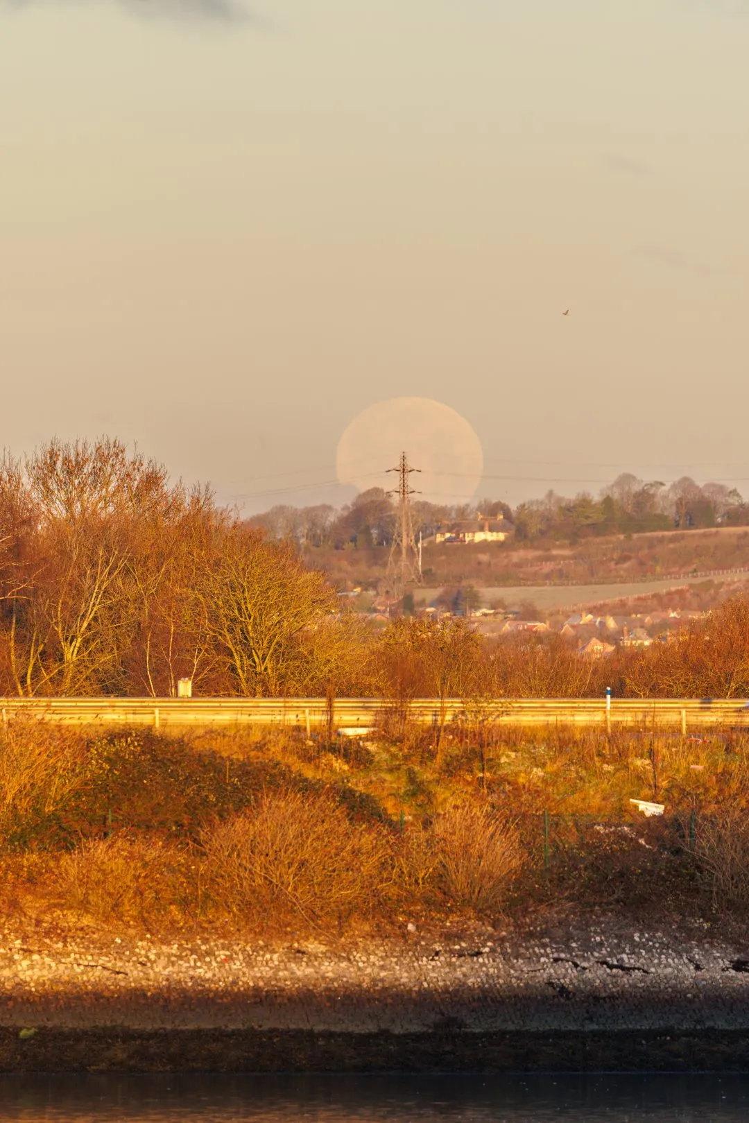 Moon rising rooftops golden, Hilsea Lines