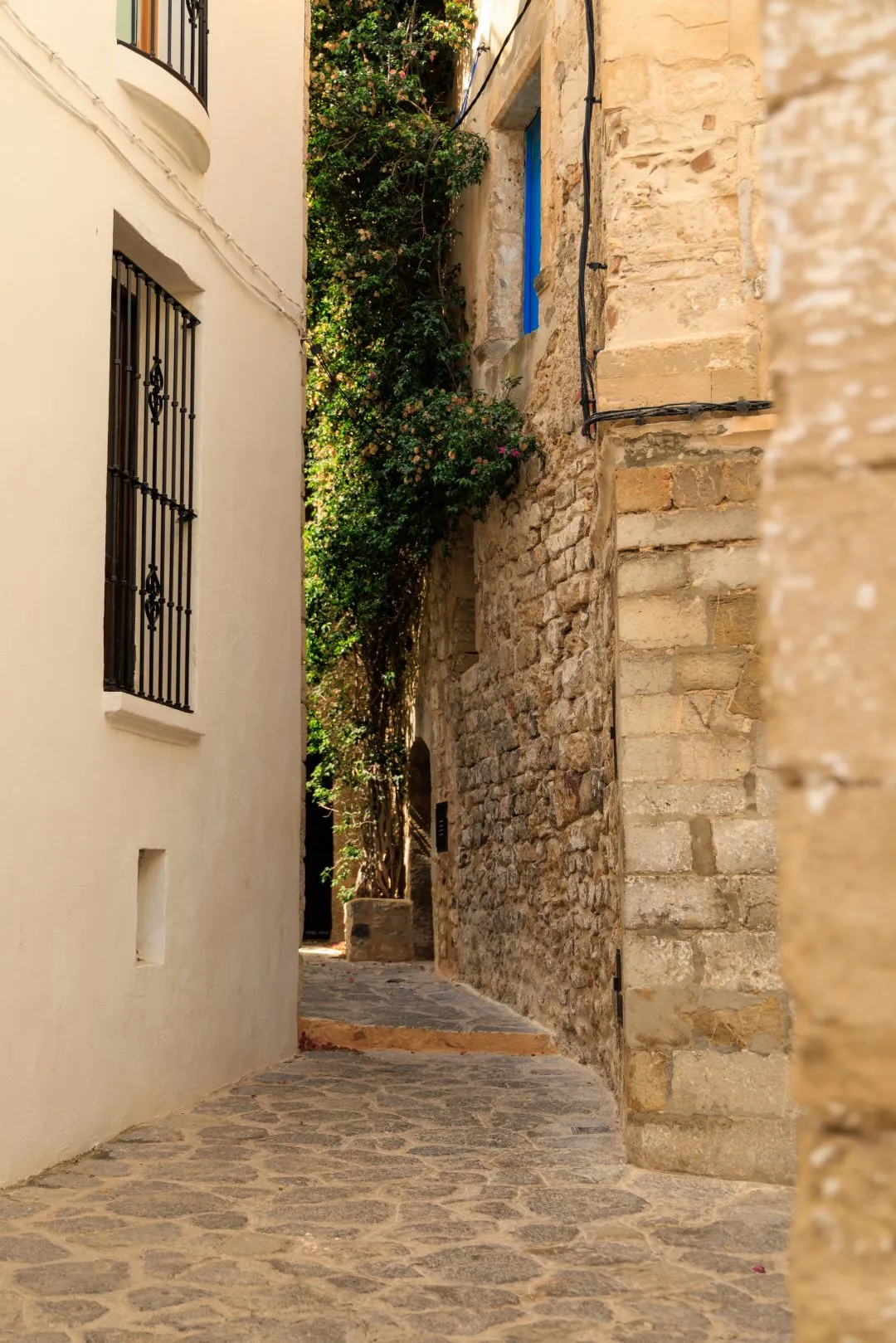 Vertical alley bougainvillea shutter, Ibiza Old Town