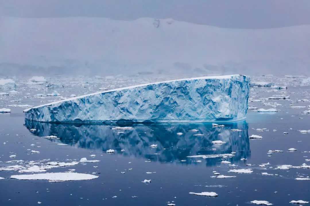 Sculptural blue iceberg with a near-perfect mirror reflection in still water, Antarctica