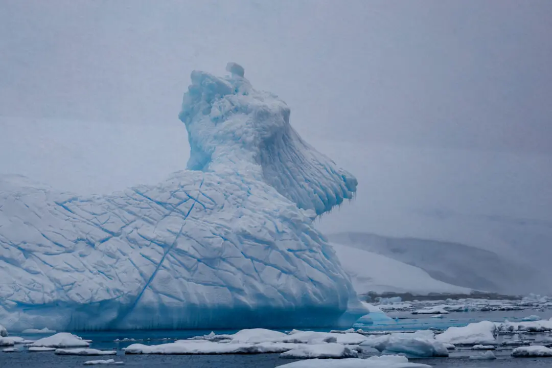 Fog-shrouded iceberg eroded into the shape of a wolf head in profile, Antarctica