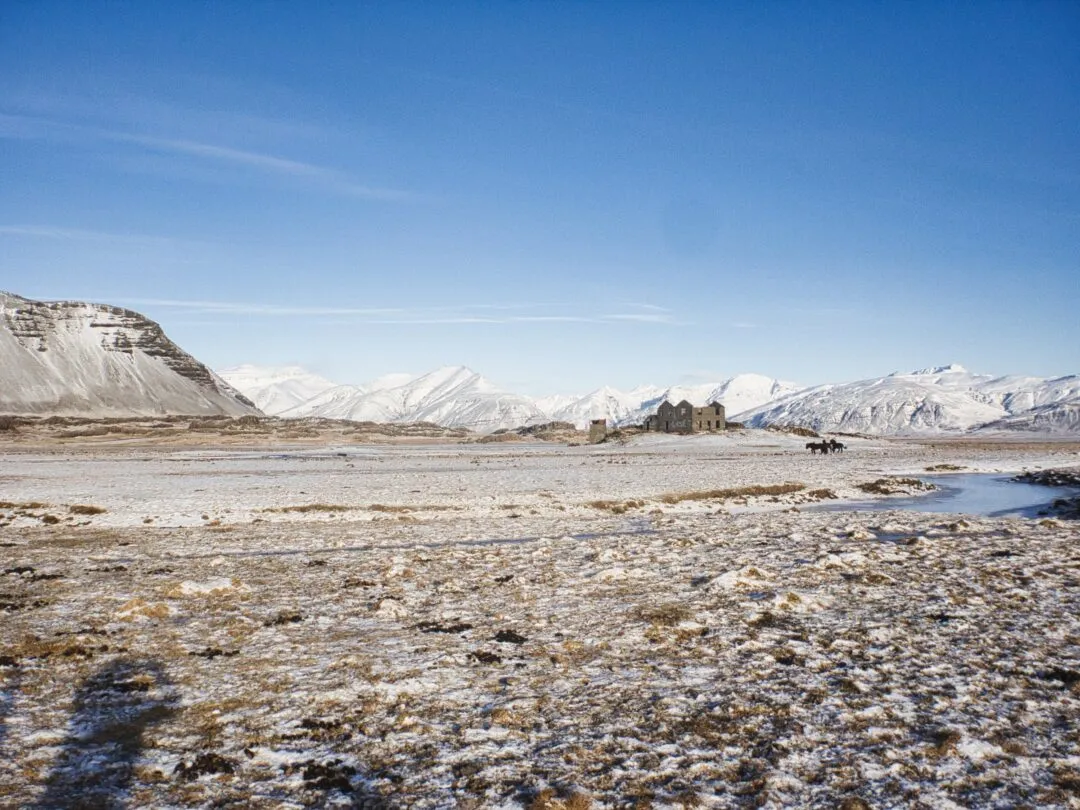 Iceland icelandic horses mountains