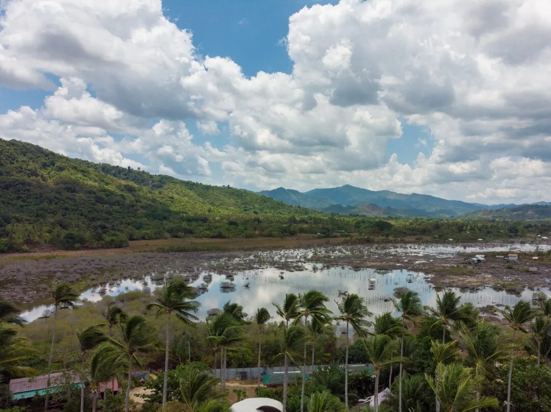Inland wetland marsh reflection palms El Nido