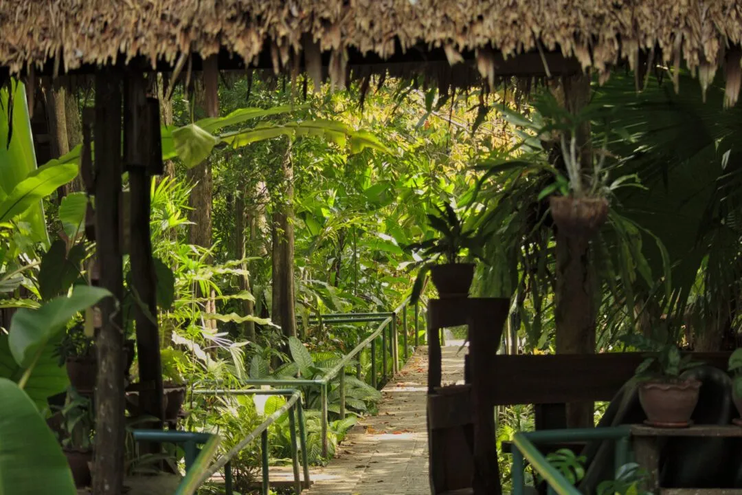 A thatch-roofed jungle walkway leading through dense rainforest foliage in Thailand.