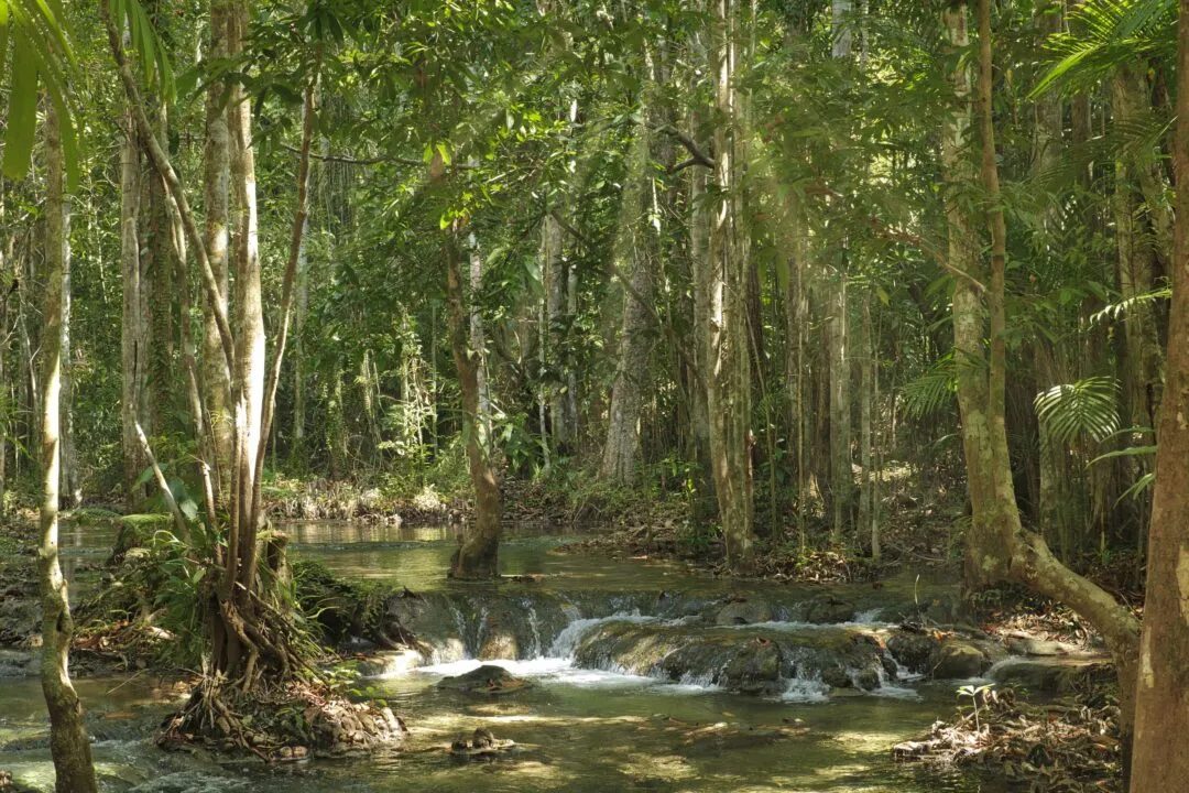 A small tiered waterfall cascading over mossy rock on a shaded jungle stream in Thailand.