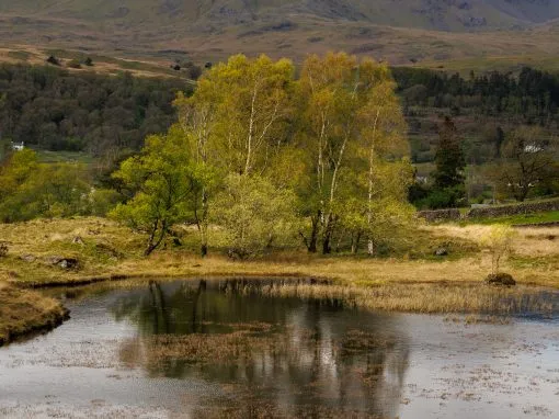 Lake District Photography