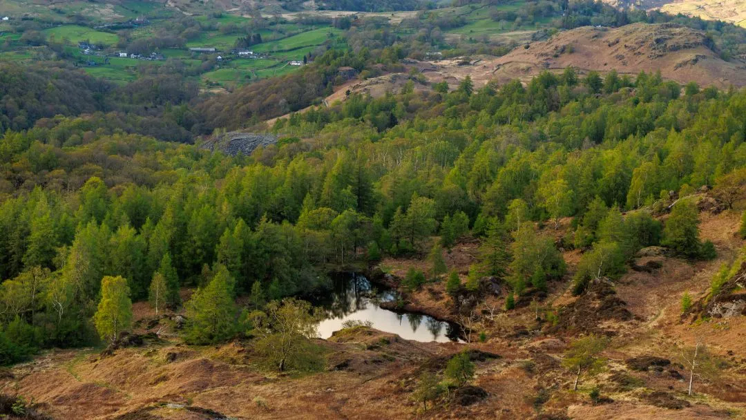 Forest tarn village overview, the Lake District, Cumbria