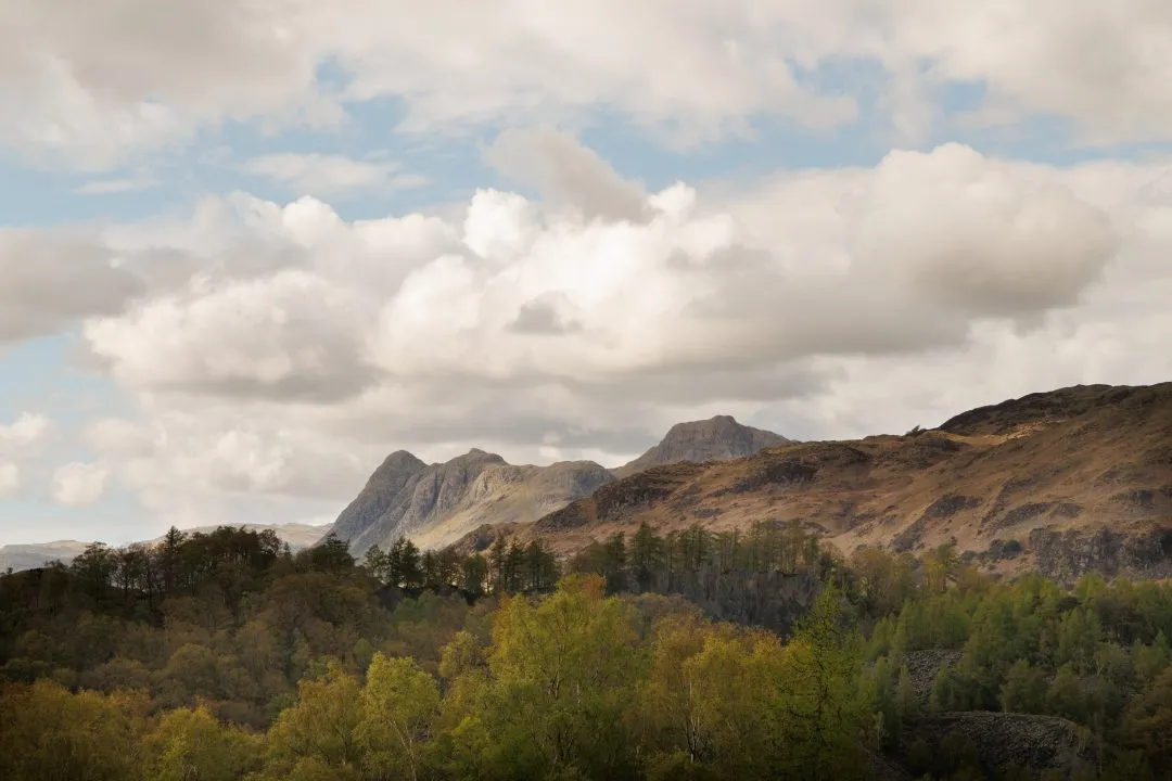 Langdale pikes forest valley, the Lake District, Cumbria