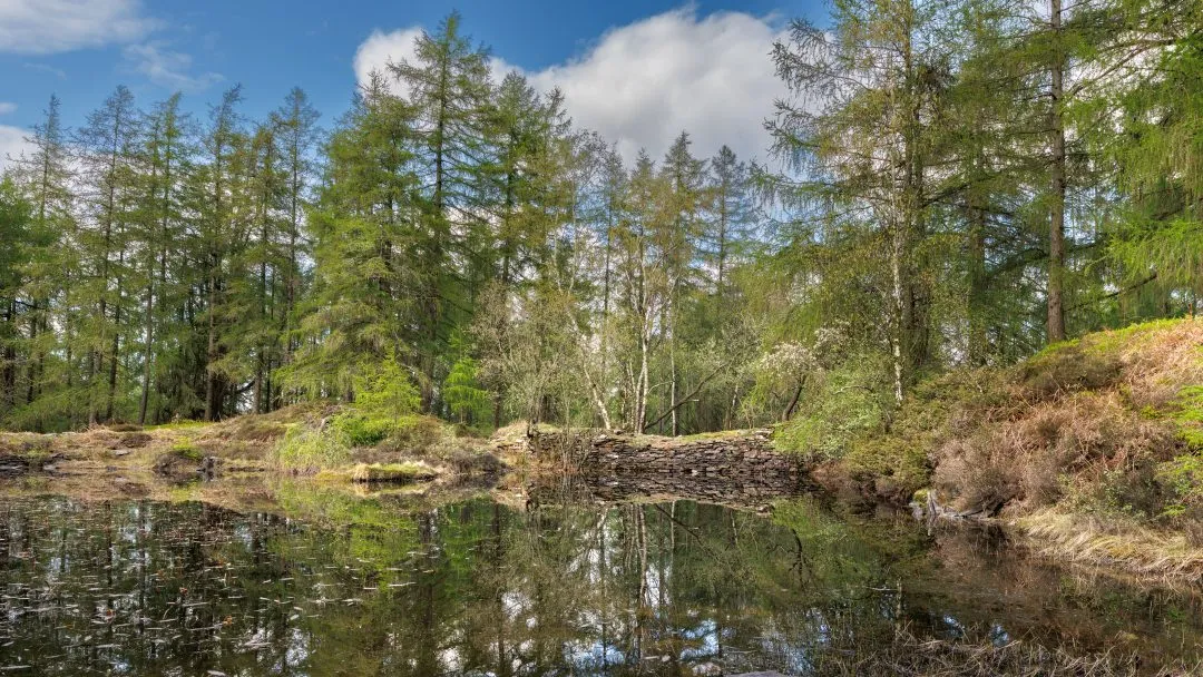 Quarry ruin wall reflection, the Lake District, Cumbria