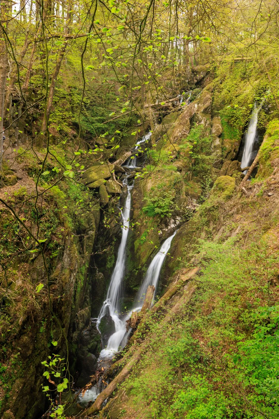 Woodland waterfall cascade, the Lake District, Cumbria