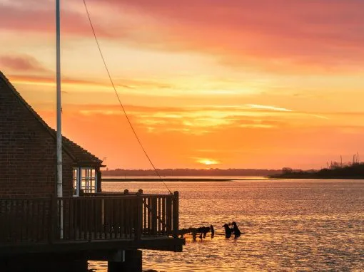 Langstone Harbour Photography: Return Visits
