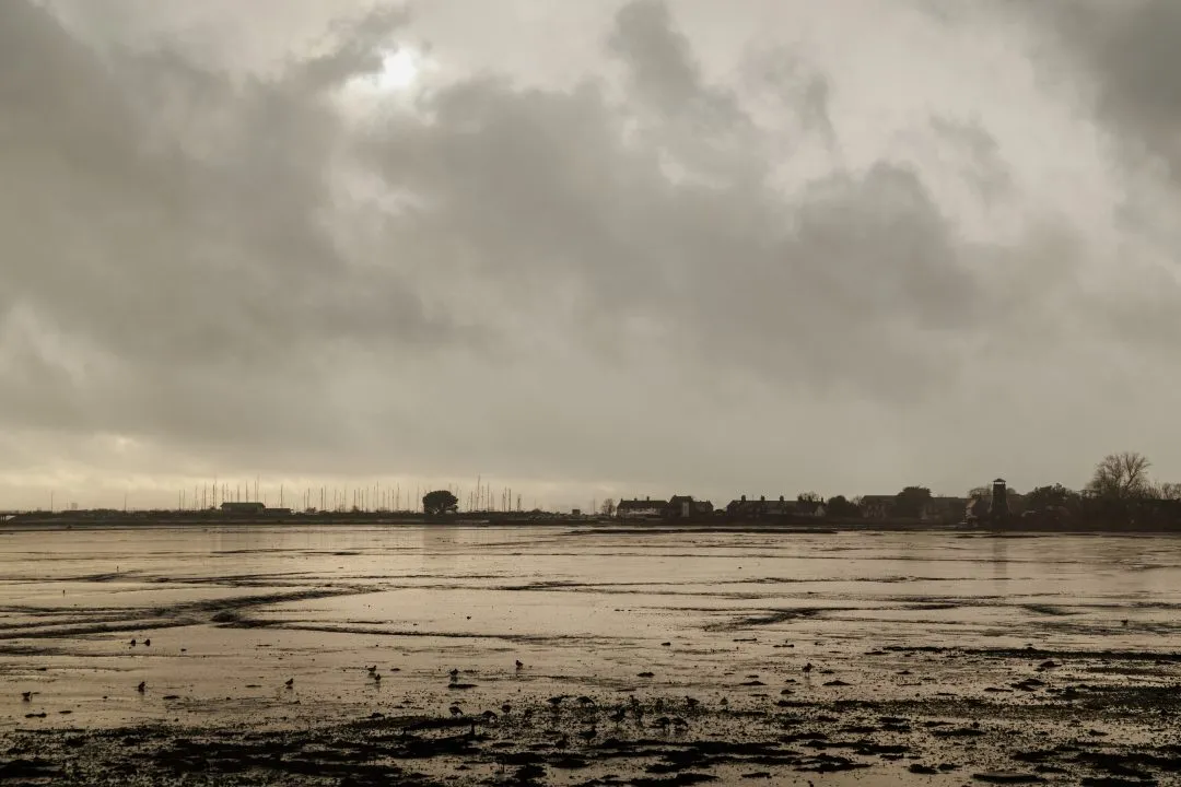 Langstone harbour stormy view waders