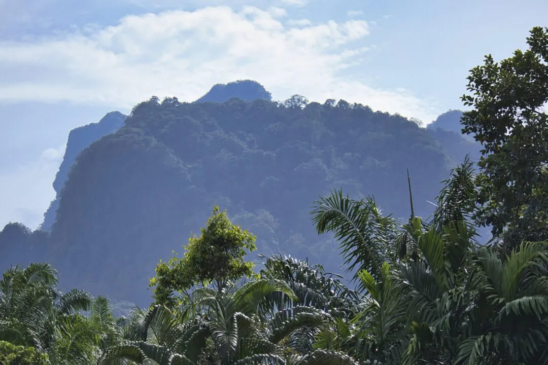 A limestone karst peak rising above a rainforest canopy under a clear blue sky in Thailand.