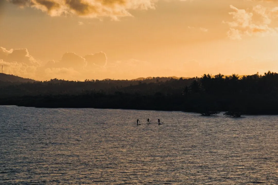 Minimalist silhouette paddleboarders golden sunset siargao