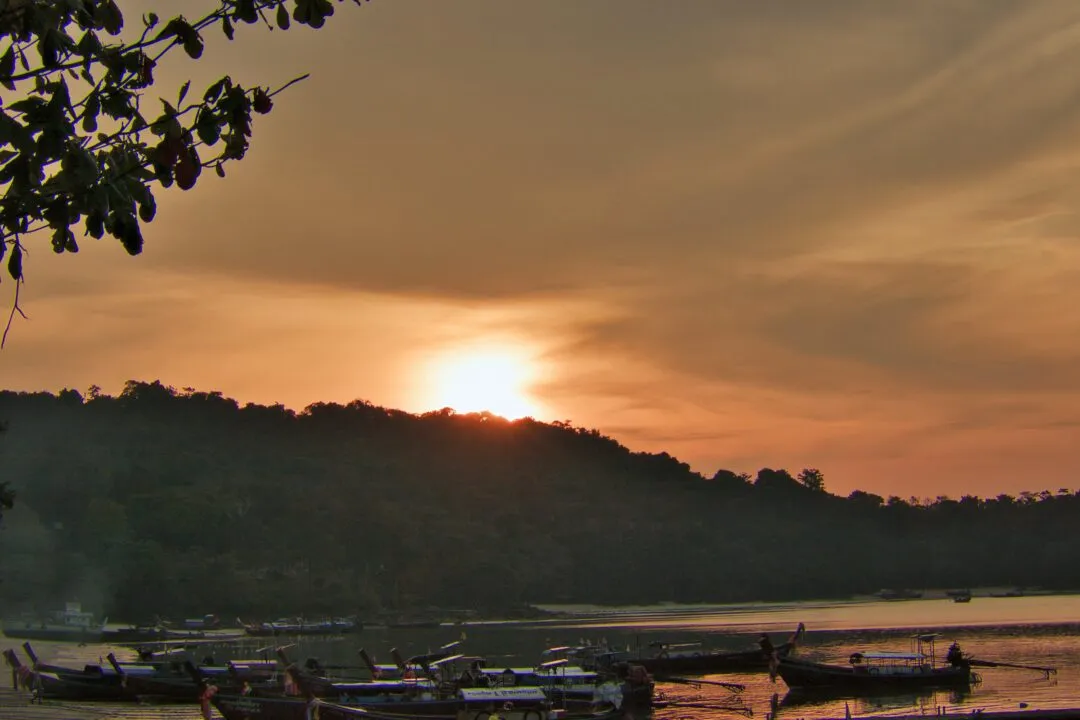 A fleet of moored longtail boats beneath a jungled headland at sunset in Thailand.