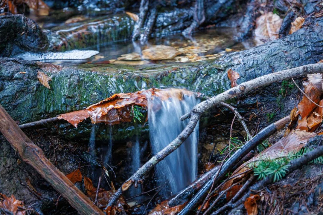New forest frozen waterfall