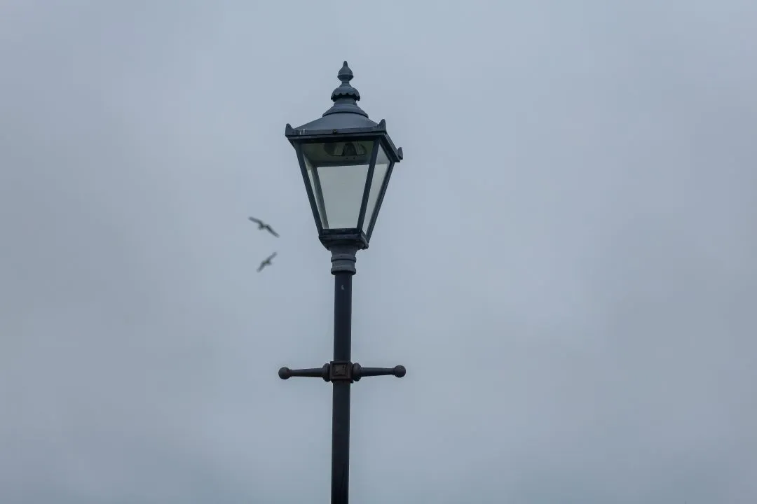 Old Portsmouth Lamppost Gulls Minimal, Southsea and Old Portsmouth, Hampshire