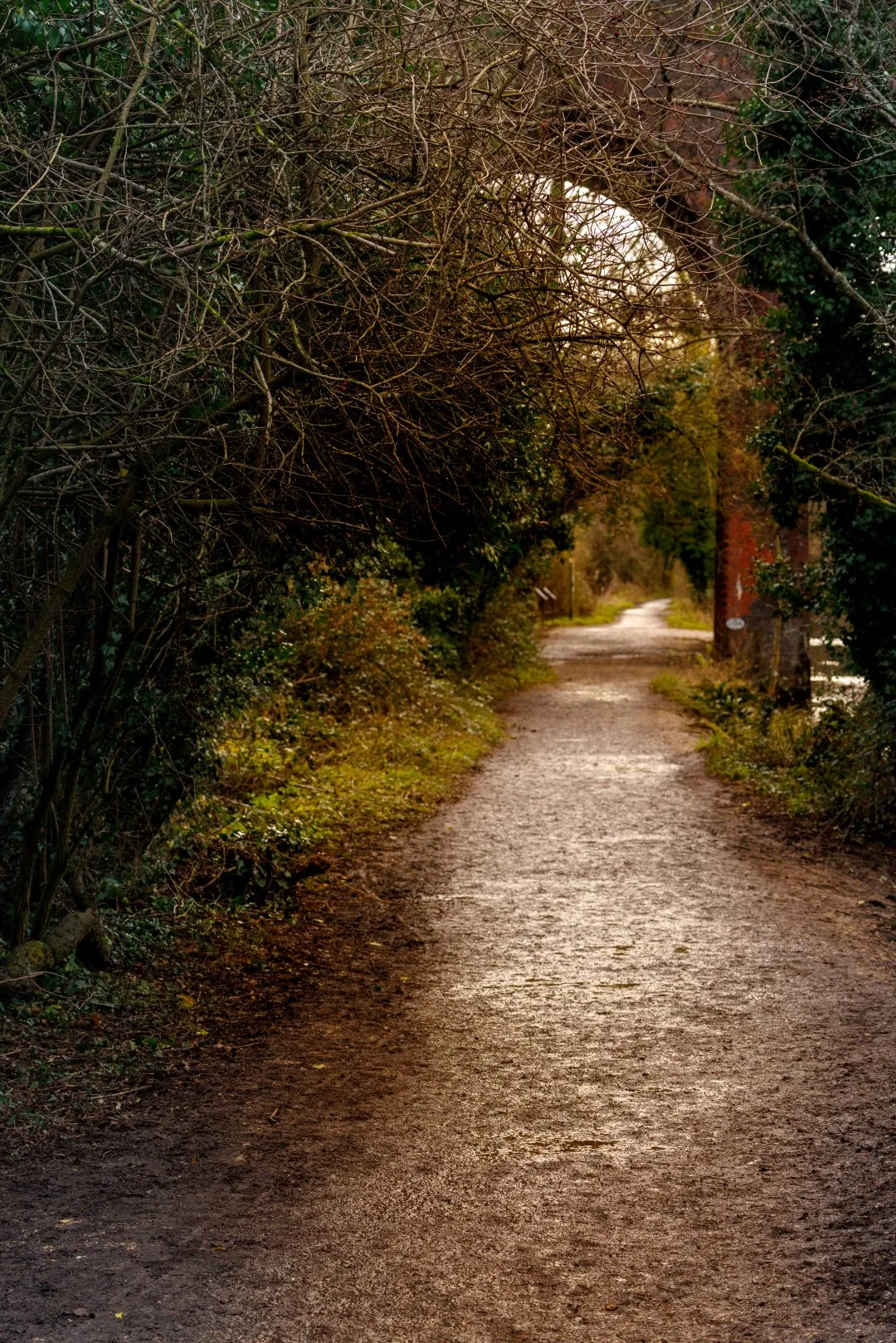 Woodland path archway, Old Basing Mill