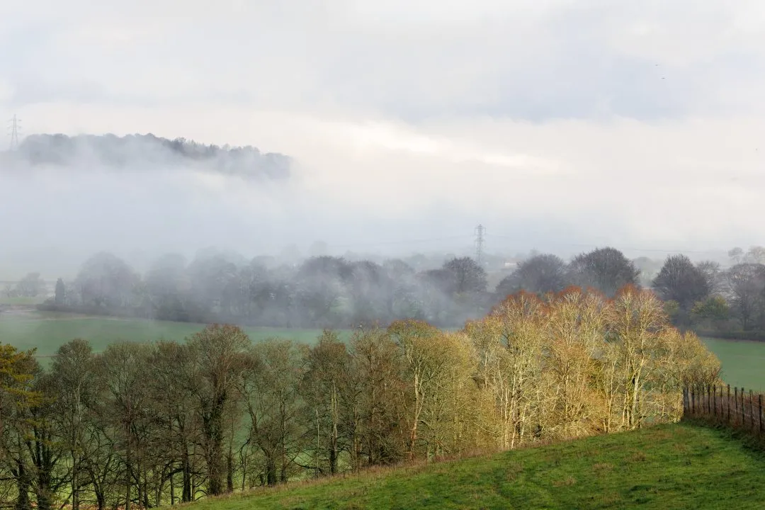 Golden woodland mist pylon, Old Winchester Hill