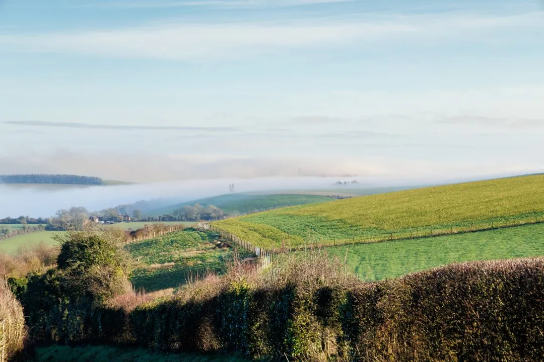 Misty fields golden light, Old Winchester Hill