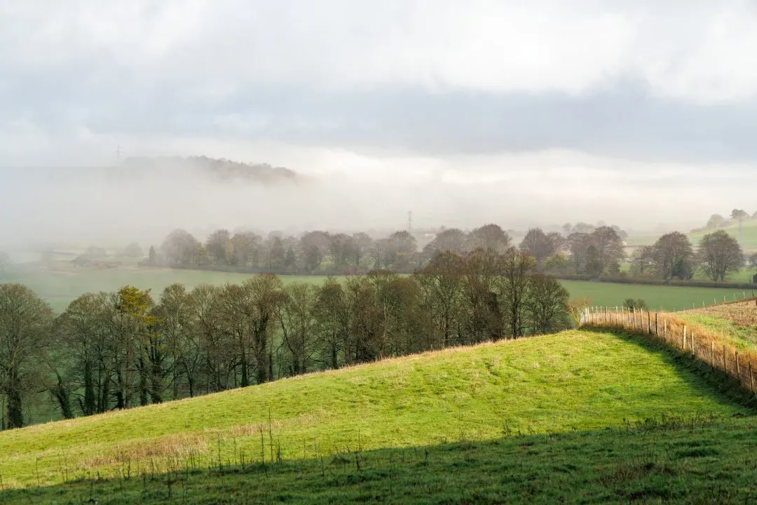 Misty hillside pylon field, Old Winchester Hill