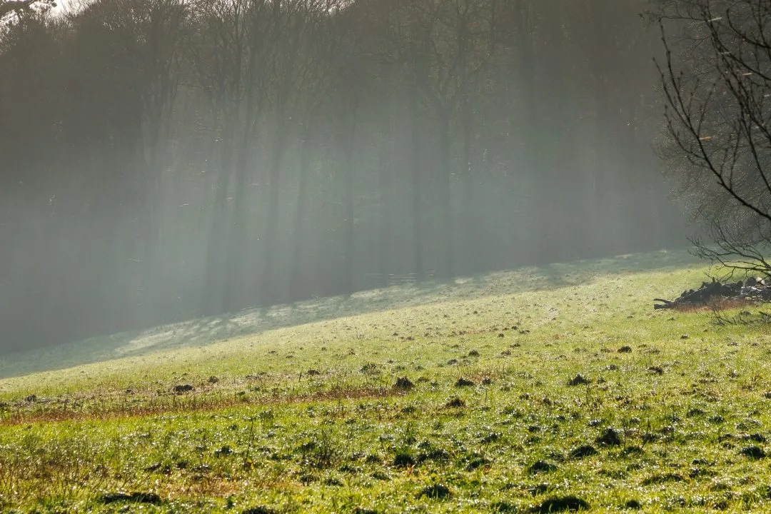 Sunbeams frosty woodland meadow, Old Winchester Hill