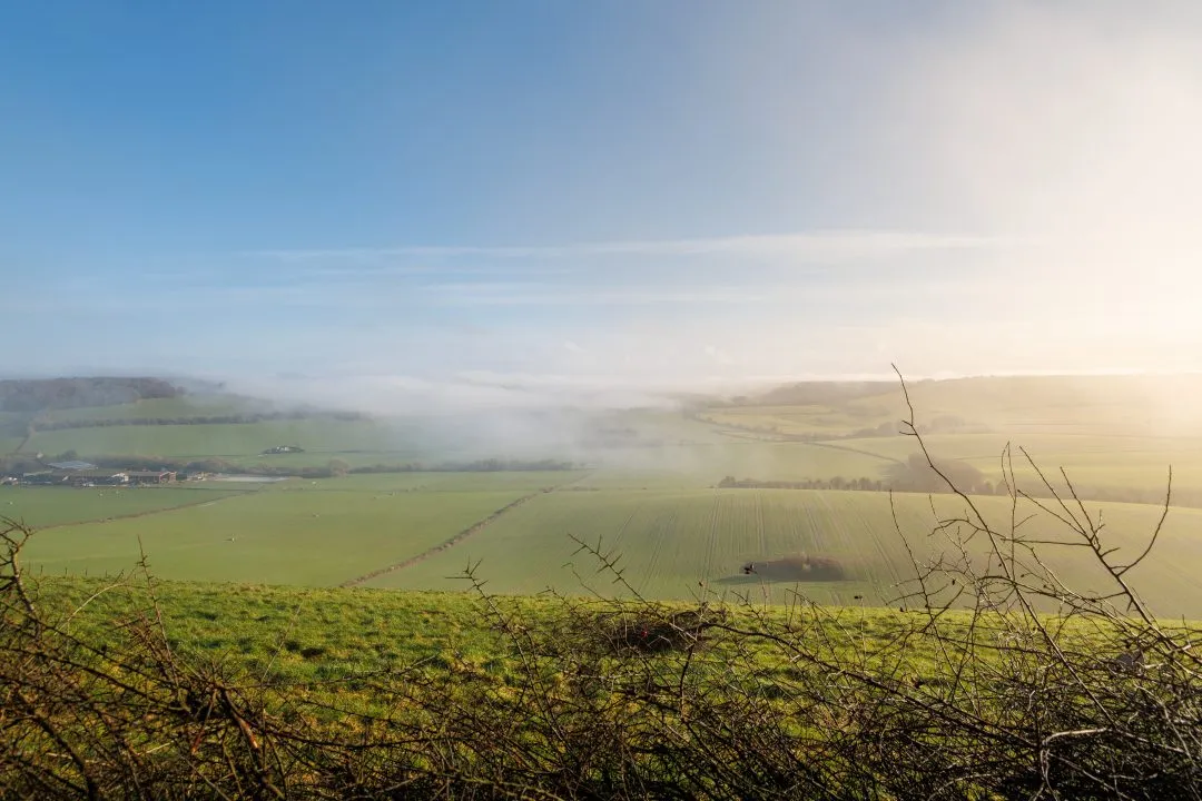 Treeline silhouette fog, Old Winchester Hill