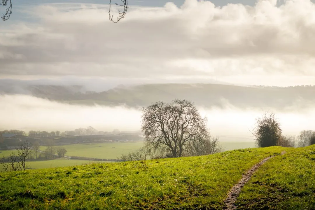 Valley farm oak tree path, Old Winchester Hill