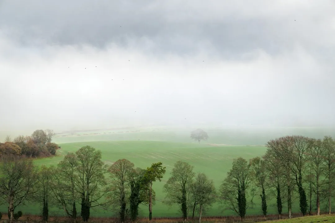Valley panorama treeline oak, Old Winchester Hill