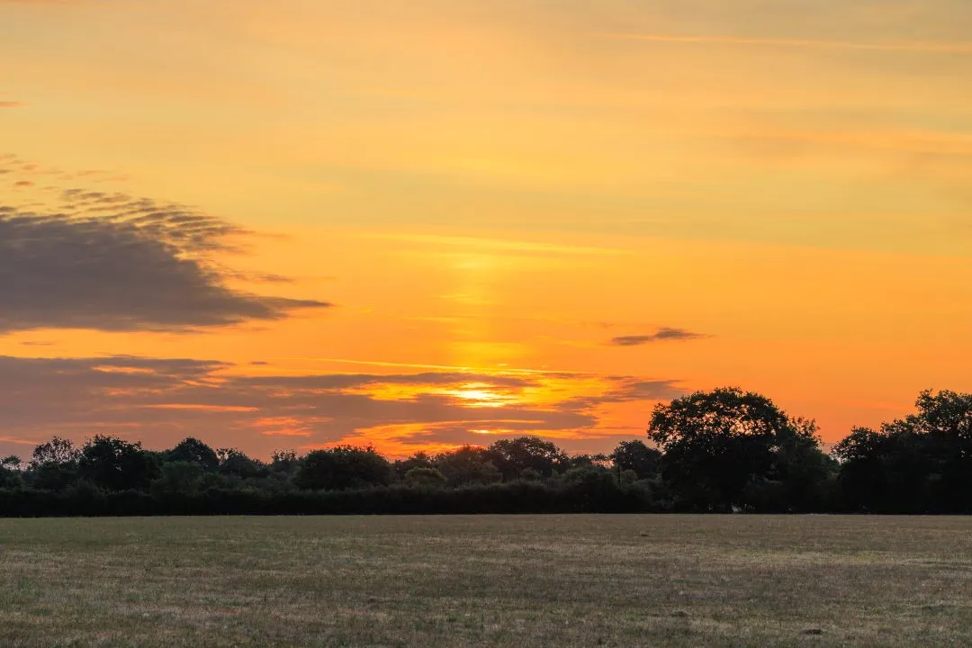 Golden sunset farmland, Oxford, Oxfordshire