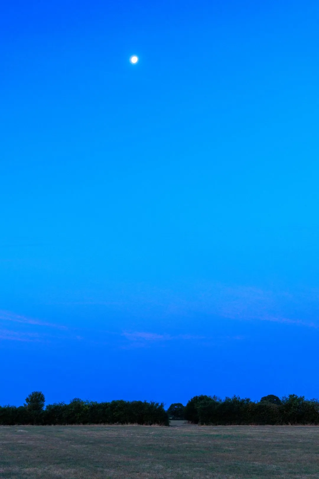 Moonrise blue twilight, Oxford, Oxfordshire