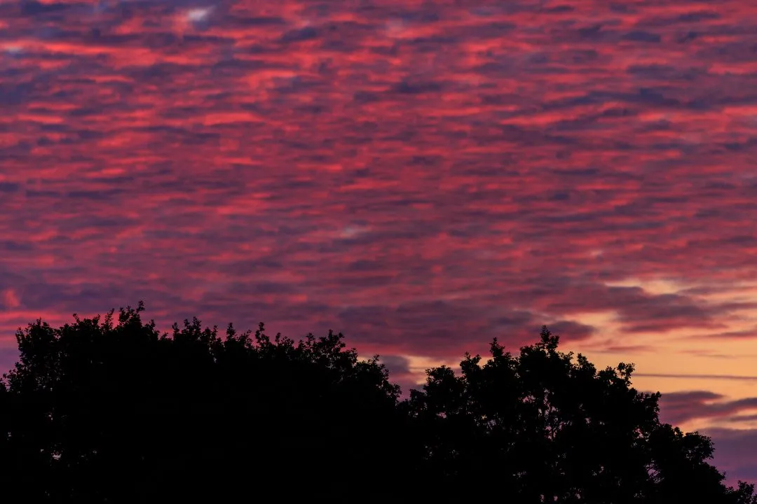 Sunset mackerel sky close crop, Oxford, Oxfordshire