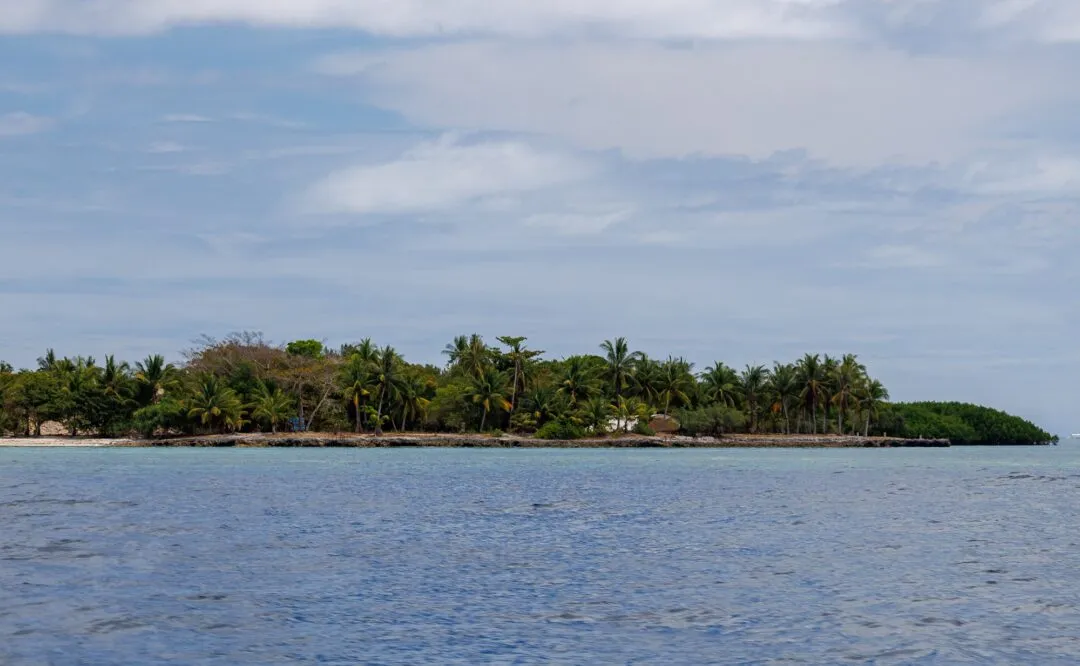 Palm fringed island seascape bohol