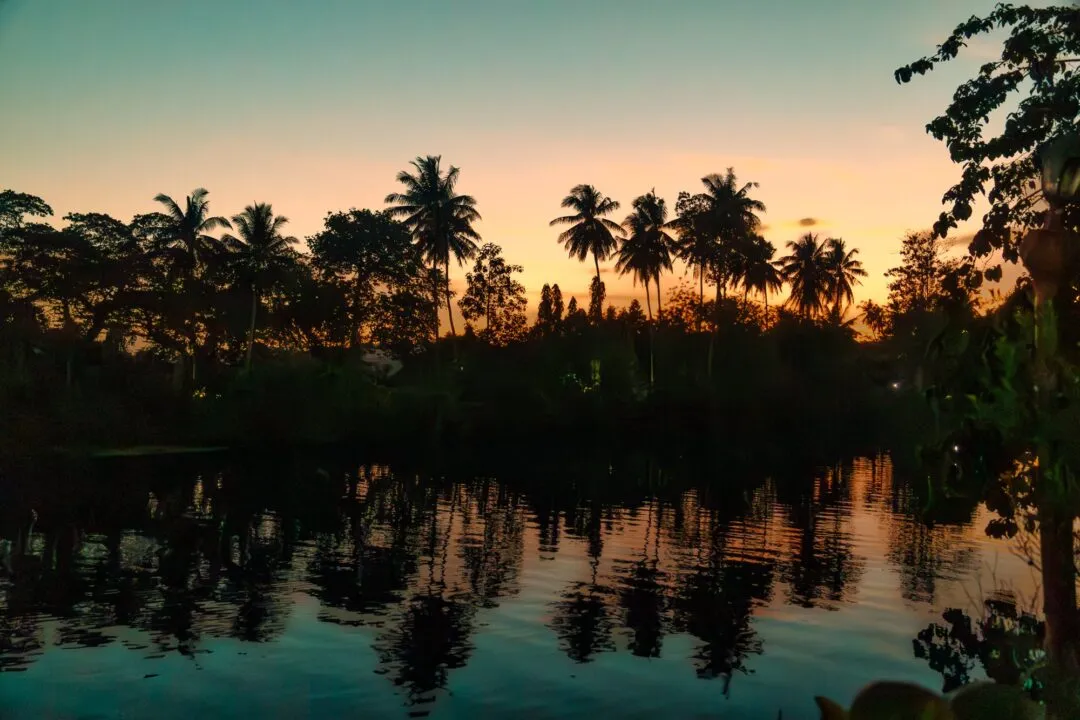 Palm silhouette orange sky reflection bohol
