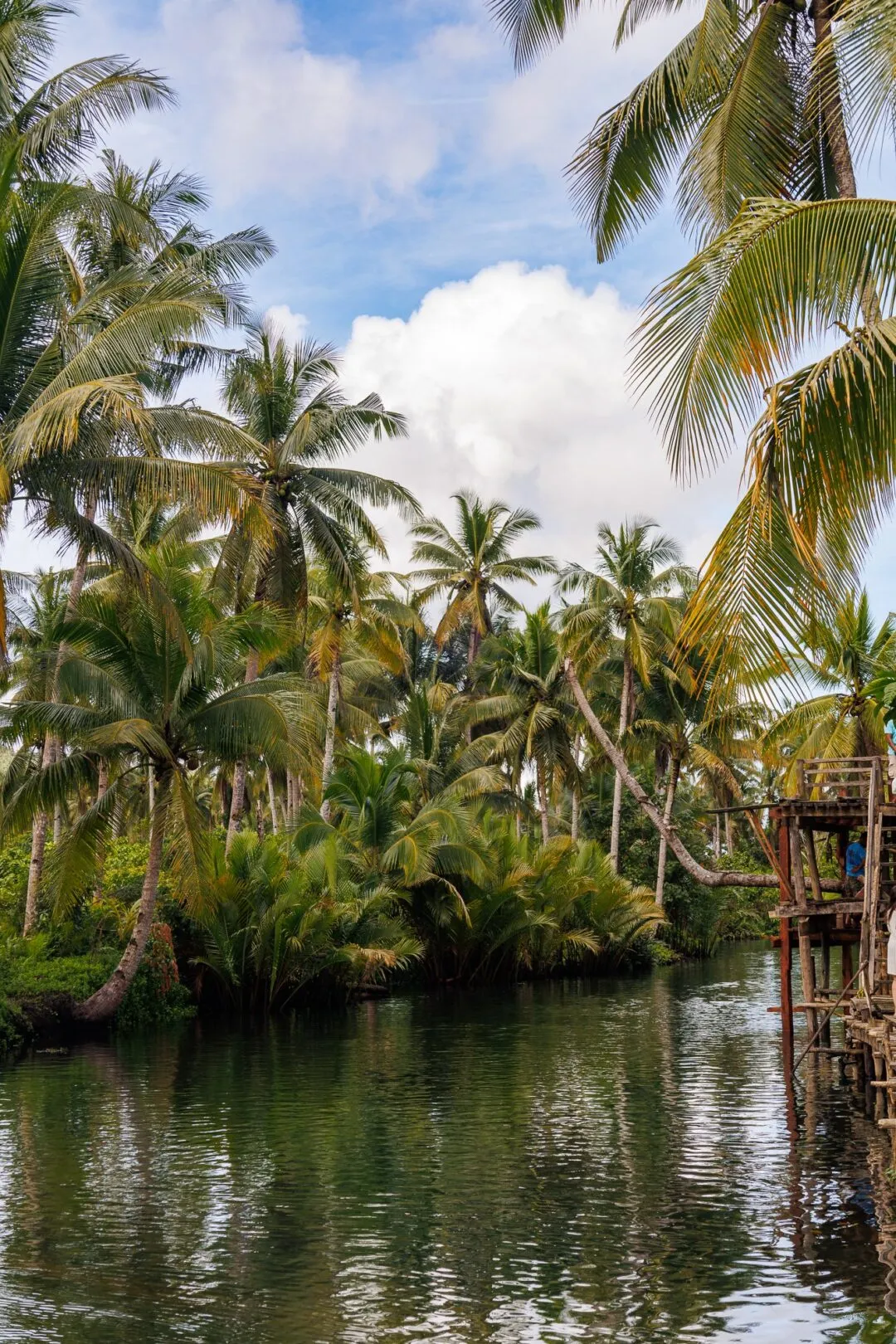 Palms river dock structure siargao