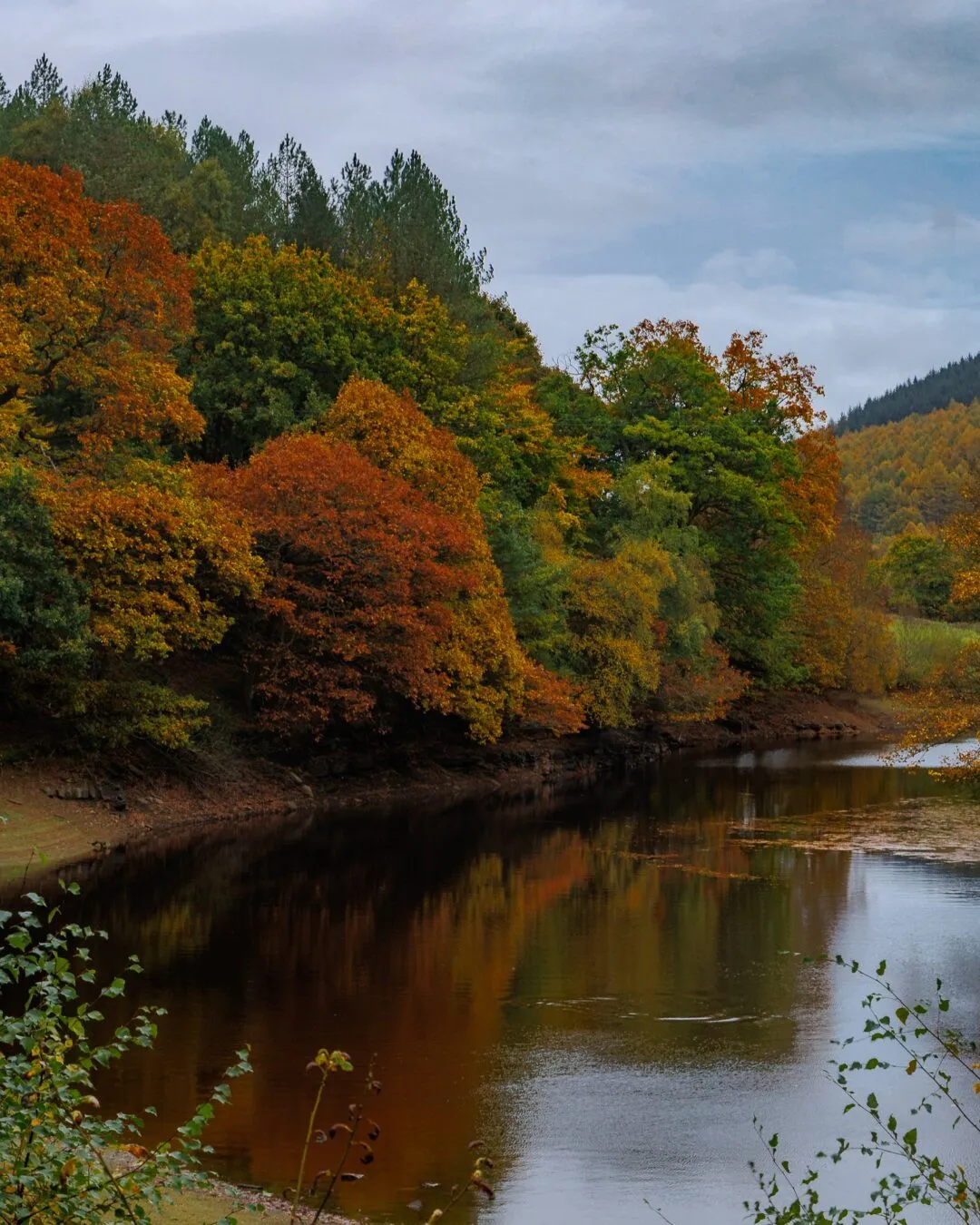 Peak district derwent reservoir autumn colours