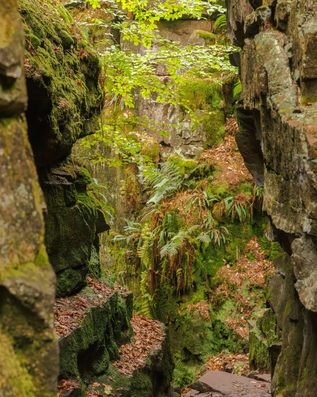 Peak district Lud's Church rock gap view