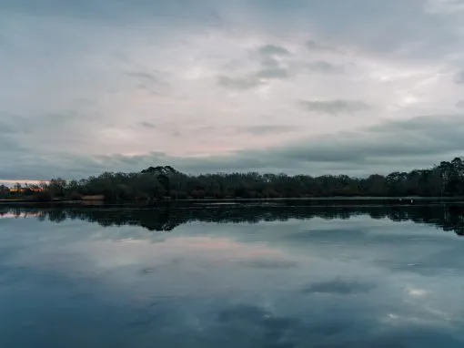 Petersfield Lake Photography