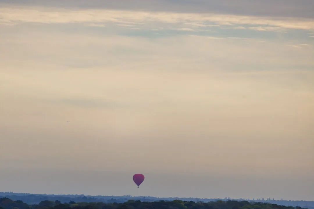 Petworth park hot air balloon dawn