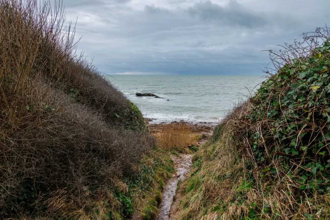 Path through coastal bushes down to the beach, Wembury, Devon