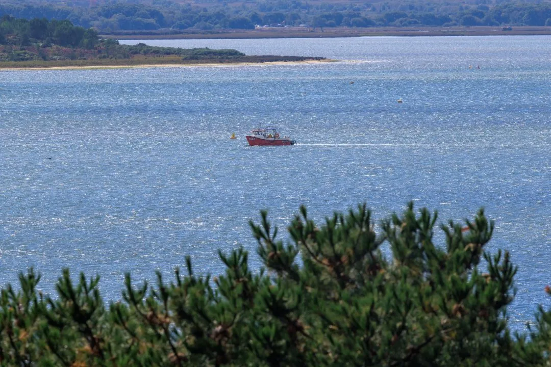 Wide view fishing boat, Poole Harbour