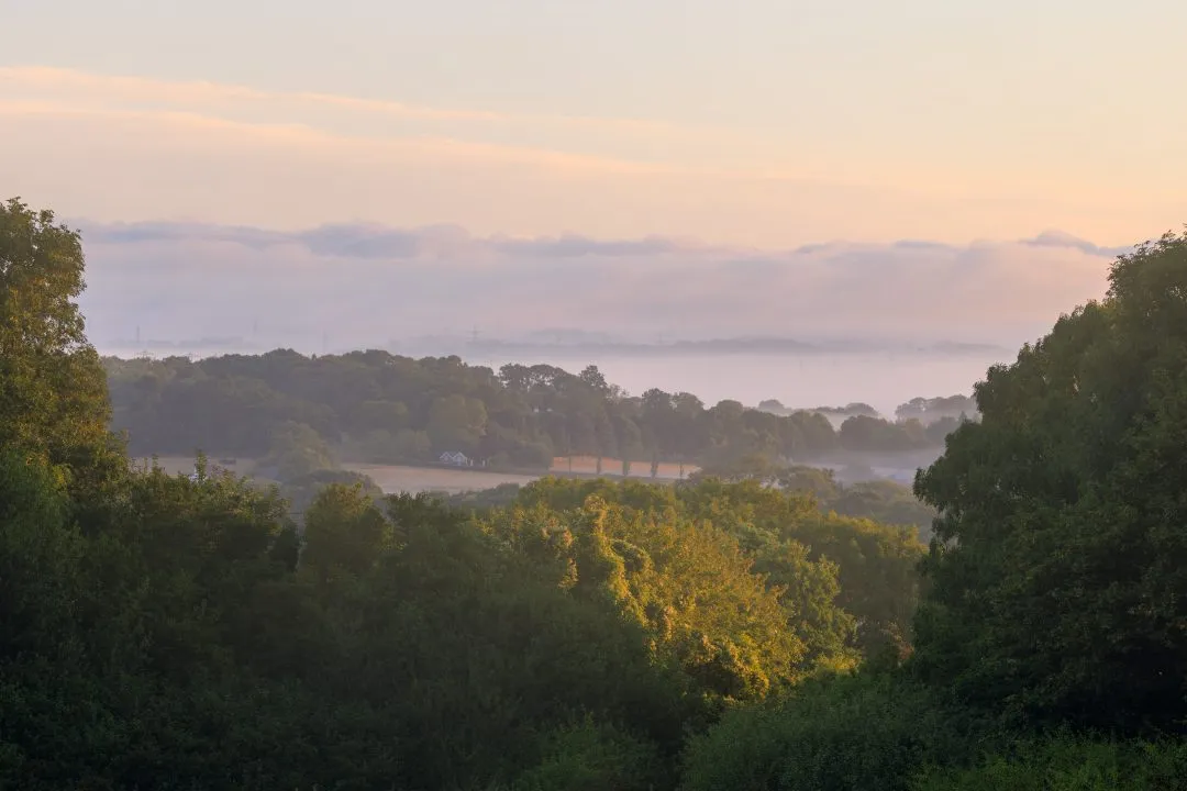 Misty valley golden light trees, Portsdown Hill